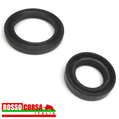 Kit paraolio scatola sterzo